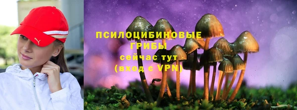 гашик Верхнеуральск